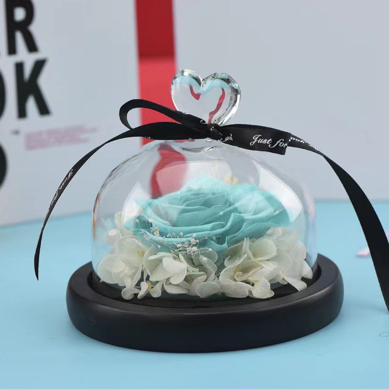 Little Love Eternal Flower Glass Cover Creative Birthday & Valentine's Day Confession Gift Preserved Plants & Flowers