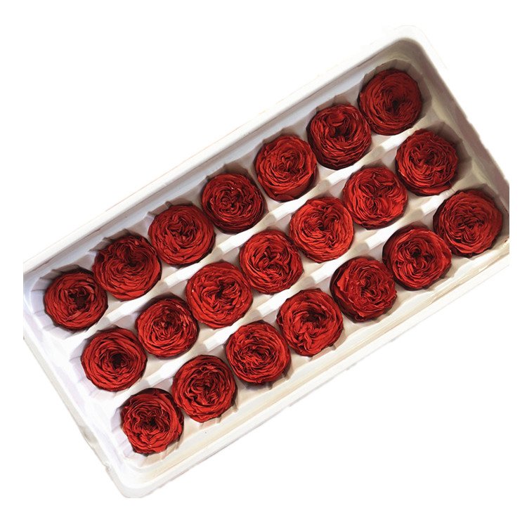 Wholesale New Products Long Time Dried Preserved Flower Rose Austin Rose Head for Table and house decorations