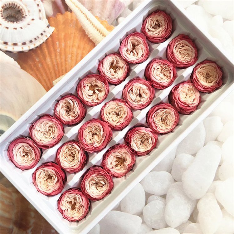 Wholesale New Products Long Time Dried Preserved Flower Rose Austin Rose Head for Table and house decorations