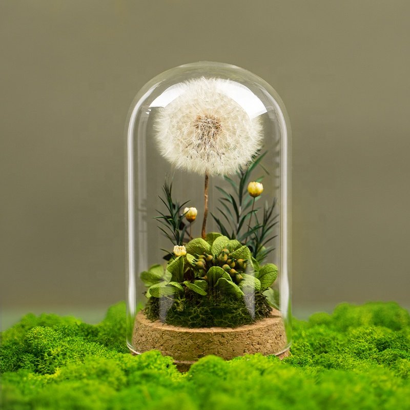 Hot Selling 2023 Floral Centerpiece Botanical Table Arrangement Preserved Dandelion Flower In Glass Dome