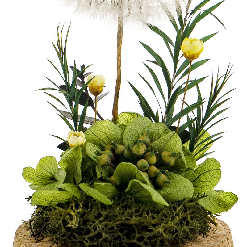 Hot Selling 2023 Floral Centerpiece Botanical Table Arrangement Preserved Dandelion Flower In Glass Dome
