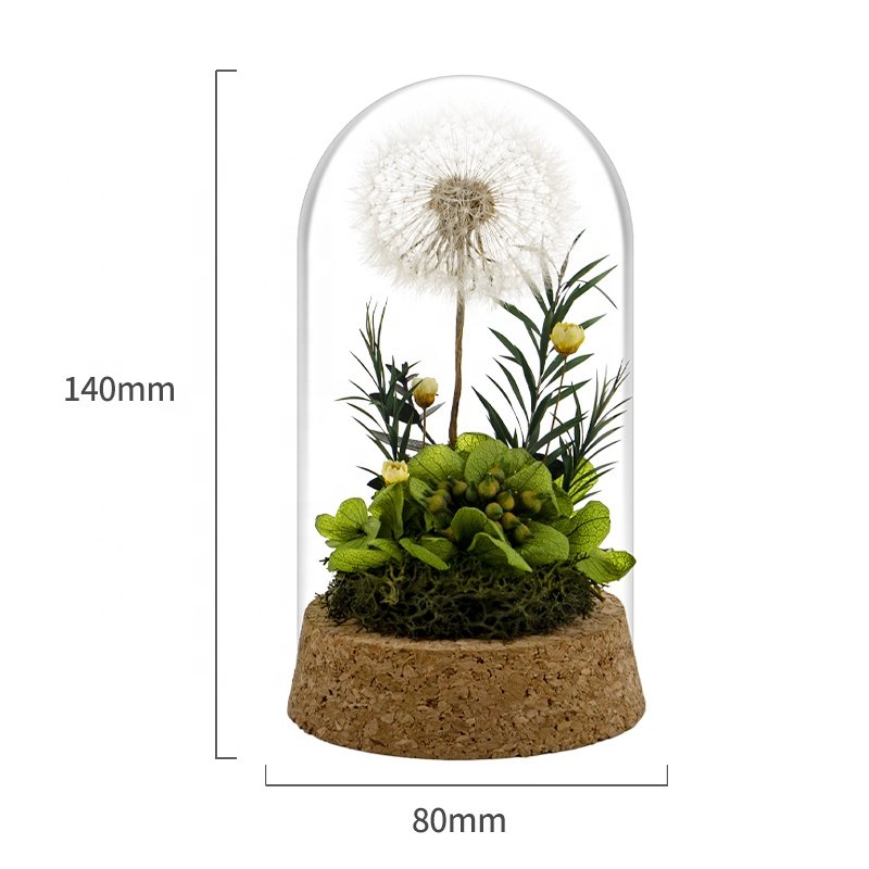 Hot Selling 2023 Floral Centerpiece Botanical Table Arrangement Preserved Dandelion Flower In Glass Dome