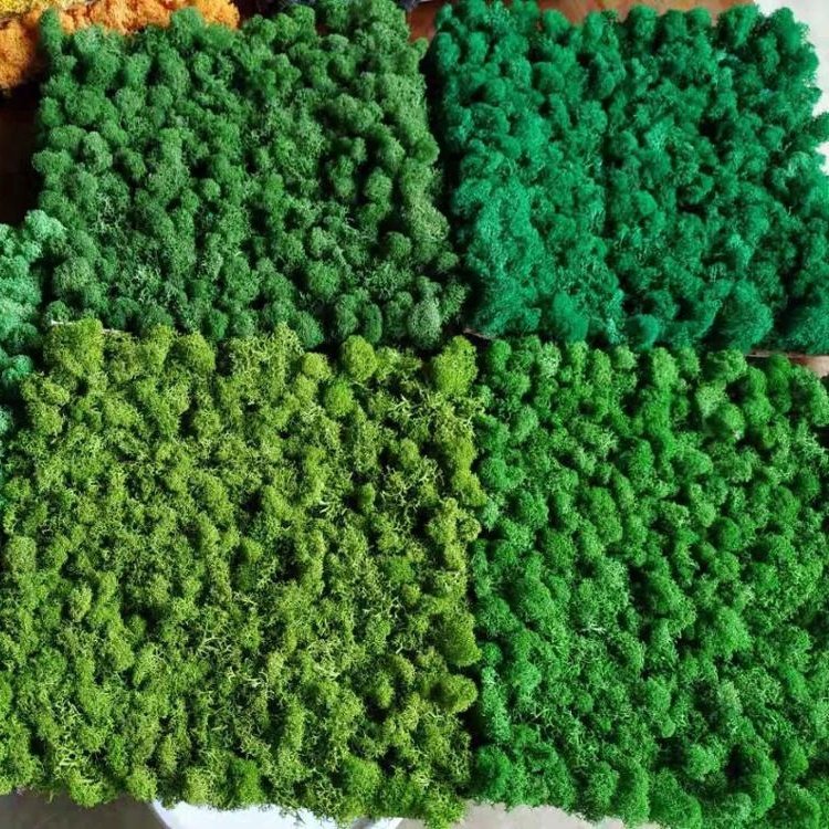 Wholesale preserved moss wall letters box lichen stabilized iceland moss