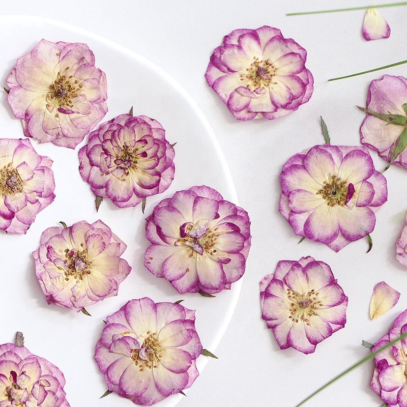 12pcs/bag Rose Graded Pink Pressed Flowers