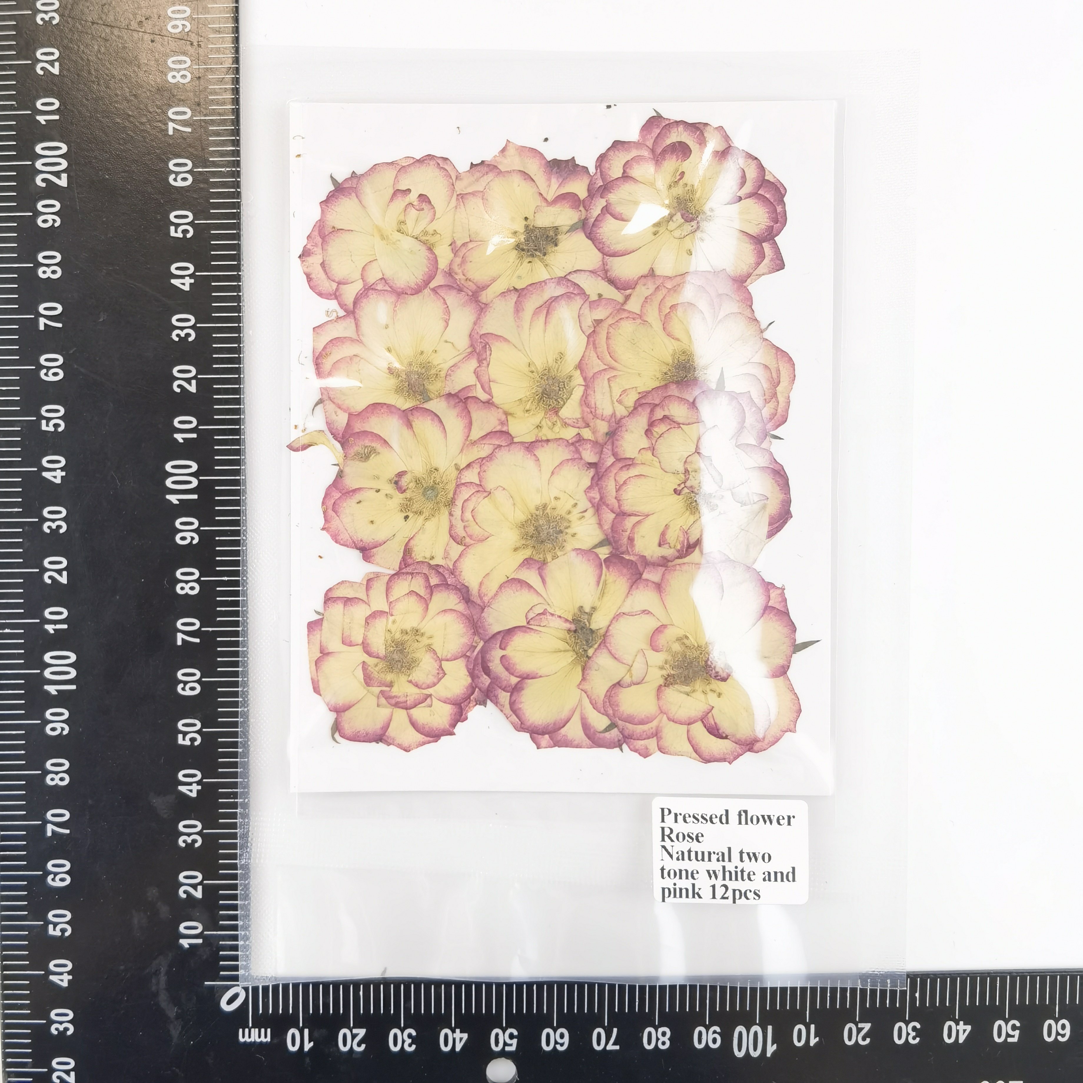12pcs/bag Rose Graded Pink Pressed Flowers