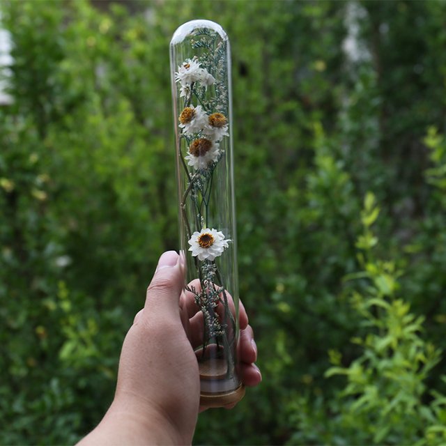 Wholesale Forever Roses Preserved Real Dried Natural Herbs Flowers in Mini Glass Dome Bottle for Christmas Occasions