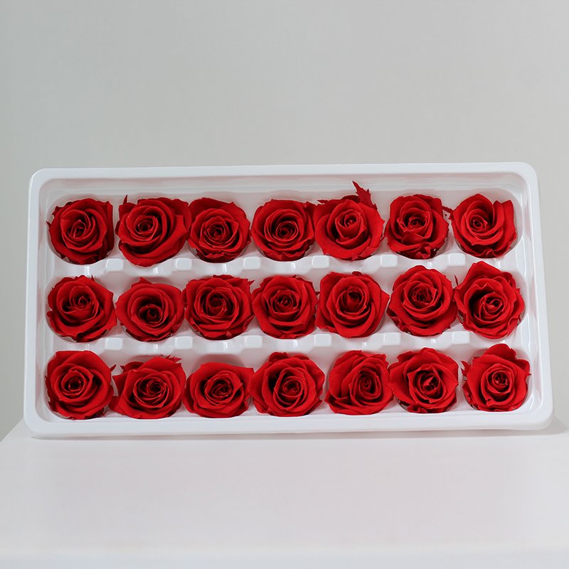 Customizable colors 2-3cm 21 pieces/box Natural Eternity Raw Flowers Head Roses Preserved for Valentine's Day Gift Present