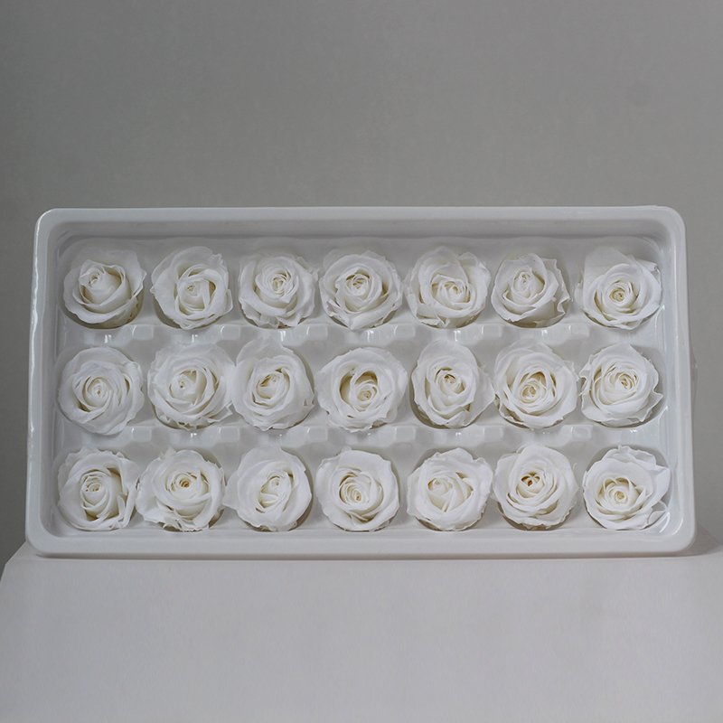 Customizable colors 2-3cm 21 pieces/box Natural Eternity Raw Flowers Head Roses Preserved for Valentine's Day Gift Present