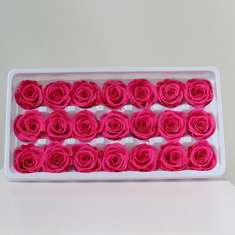 Customizable colors 2-3cm 21 pieces/box Natural Eternity Raw Flowers Head Roses Preserved for Valentine's Day Gift Present