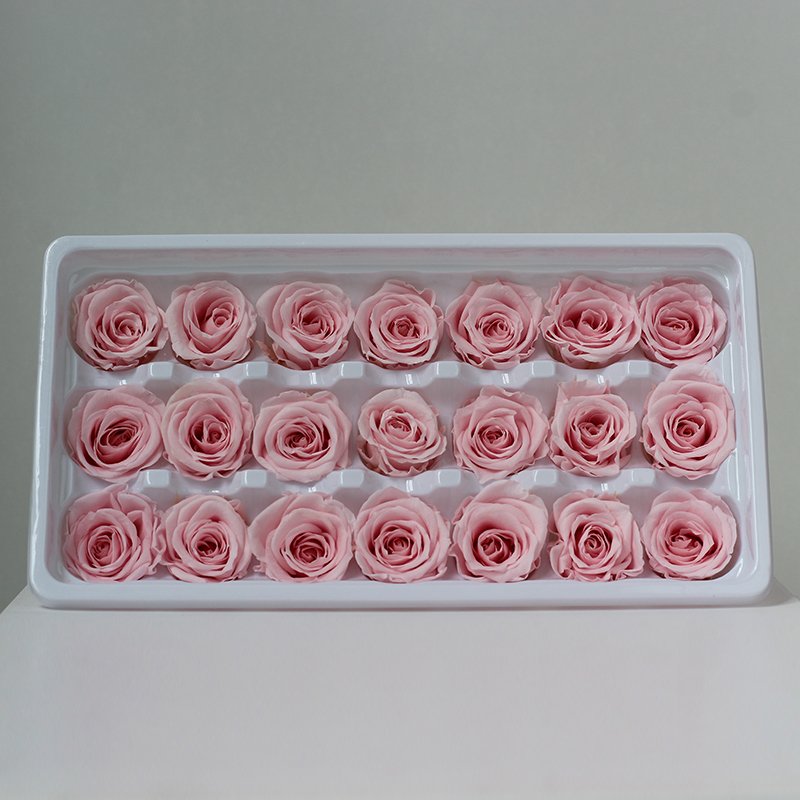 Customizable colors 2-3cm 21 pieces/box Natural Eternity Raw Flowers Head Roses Preserved for Valentine's Day Gift Present