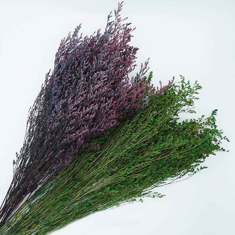 Wholesale Preserved Limoniums Preserved flowers