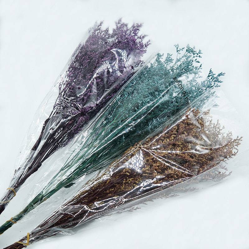 Wholesale Preserved Limoniums Preserved flowers