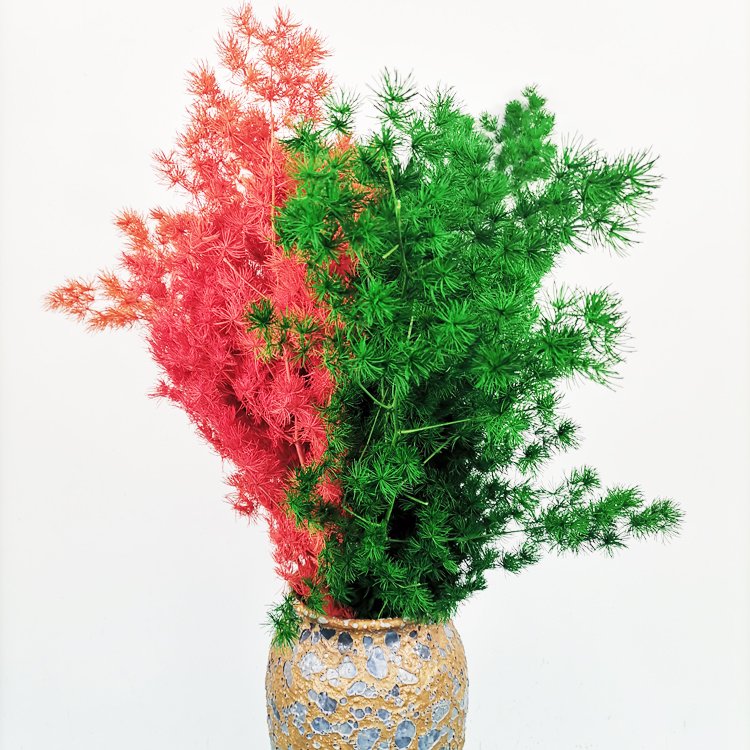 SumFlora Red yellow blue pink flower backdrop DIY material Artificial Flower Floral preserved flower asparagus myriocladus