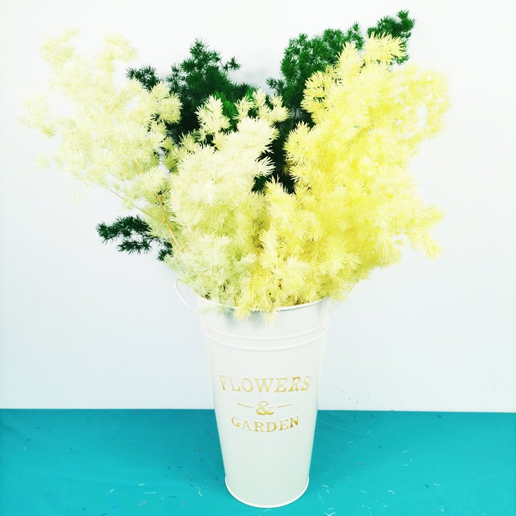 SumFlora Red yellow blue pink flower backdrop DIY material Artificial Flower Floral preserved flower asparagus myriocladus