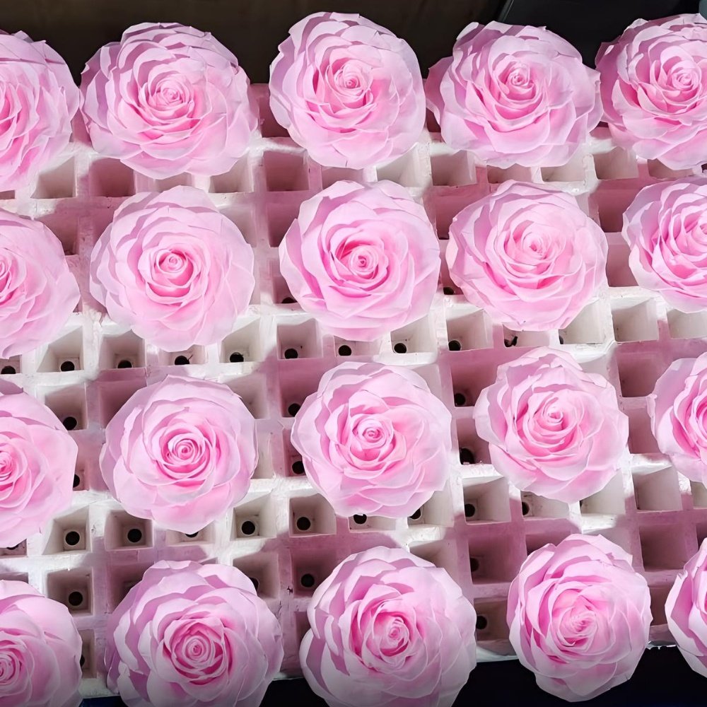 Popular supplier best specially for gift valentines reternal rose head