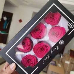 rosy