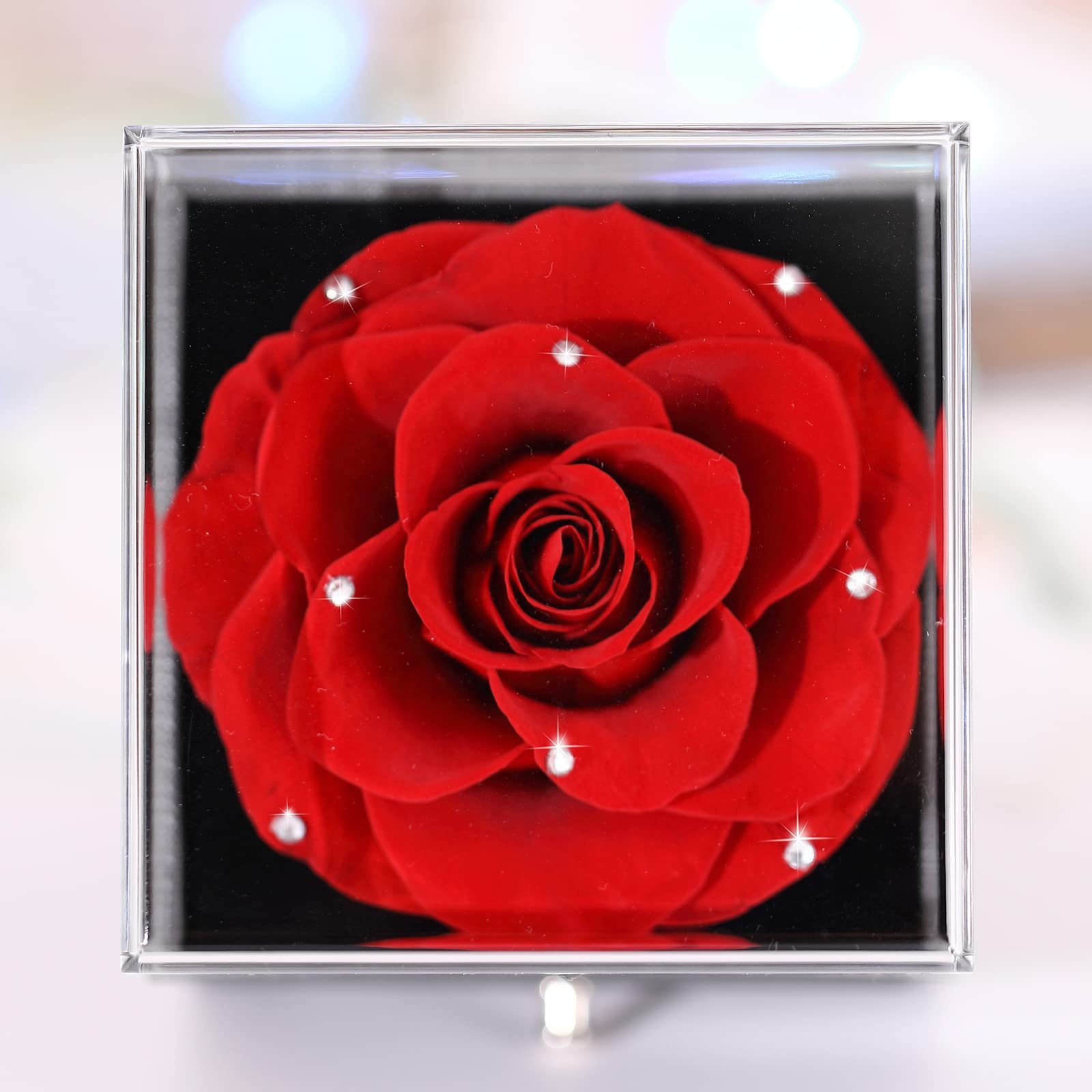 Preserved Real Rose Drawer with Heart Necklace I Love You in 100 Language jewelry case Gift Eternal Roses Forever for Valentines