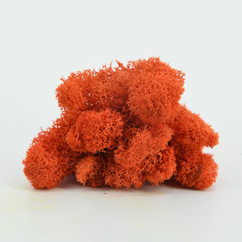 B-9 2023 new arrivals top seller wedding decorations moss decorative flowers wall decor