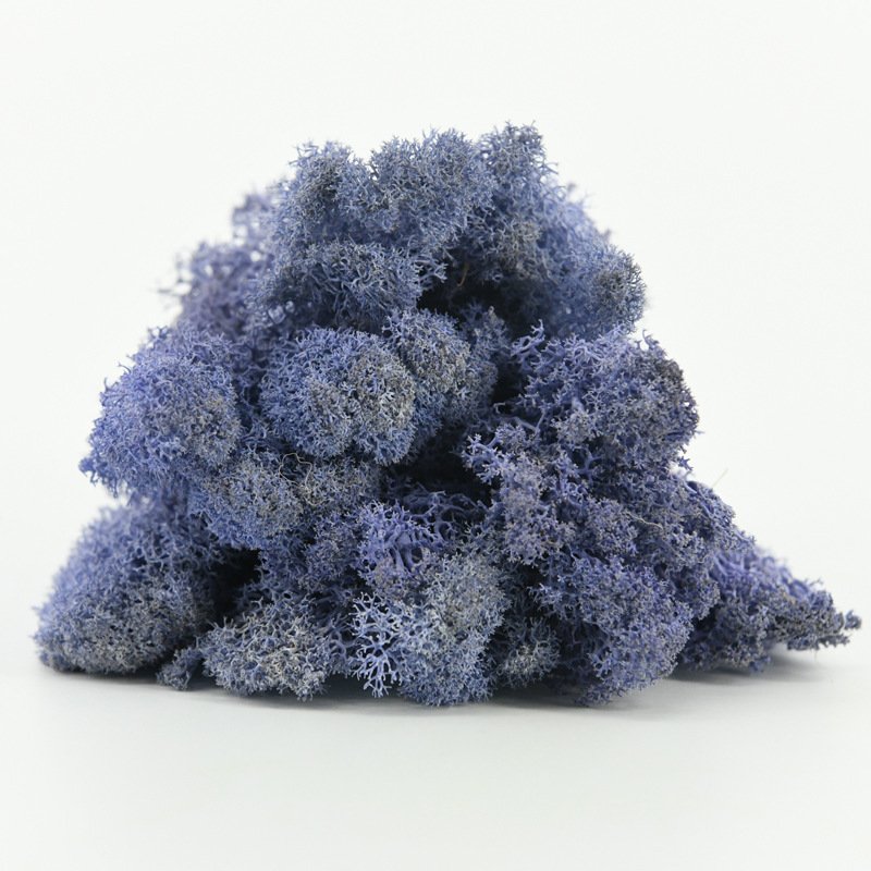 B-9 2023 new arrivals top seller wedding decorations moss decorative flowers wall decor