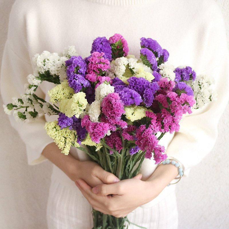 Preserved natural Statice flower,Forget-me-not flower,Sea lavender, floral arrangement home decoration
