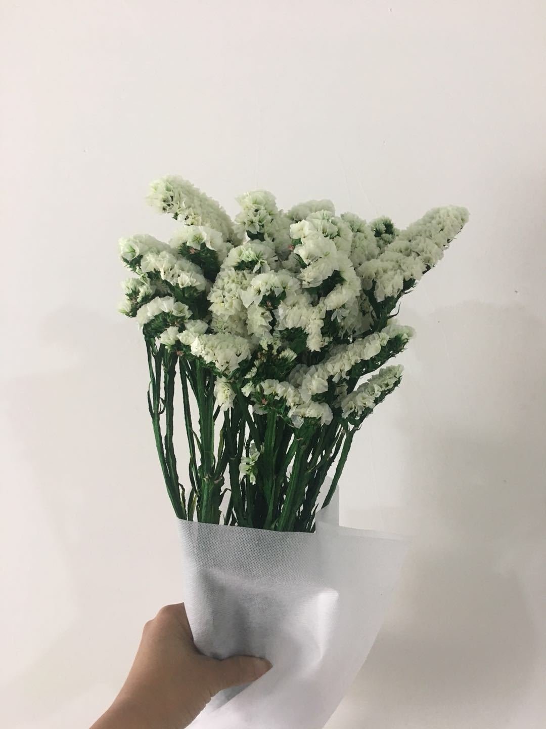Preserved natural Statice flower,Forget-me-not flower,Sea lavender, floral arrangement home decoration