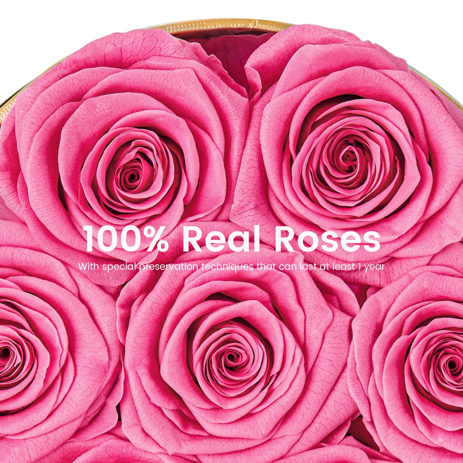 Factory Wholesale Natural Eternal Forever Rose Sweet Pink Immortal Preserved Roses Natural Rose Flower Decoration