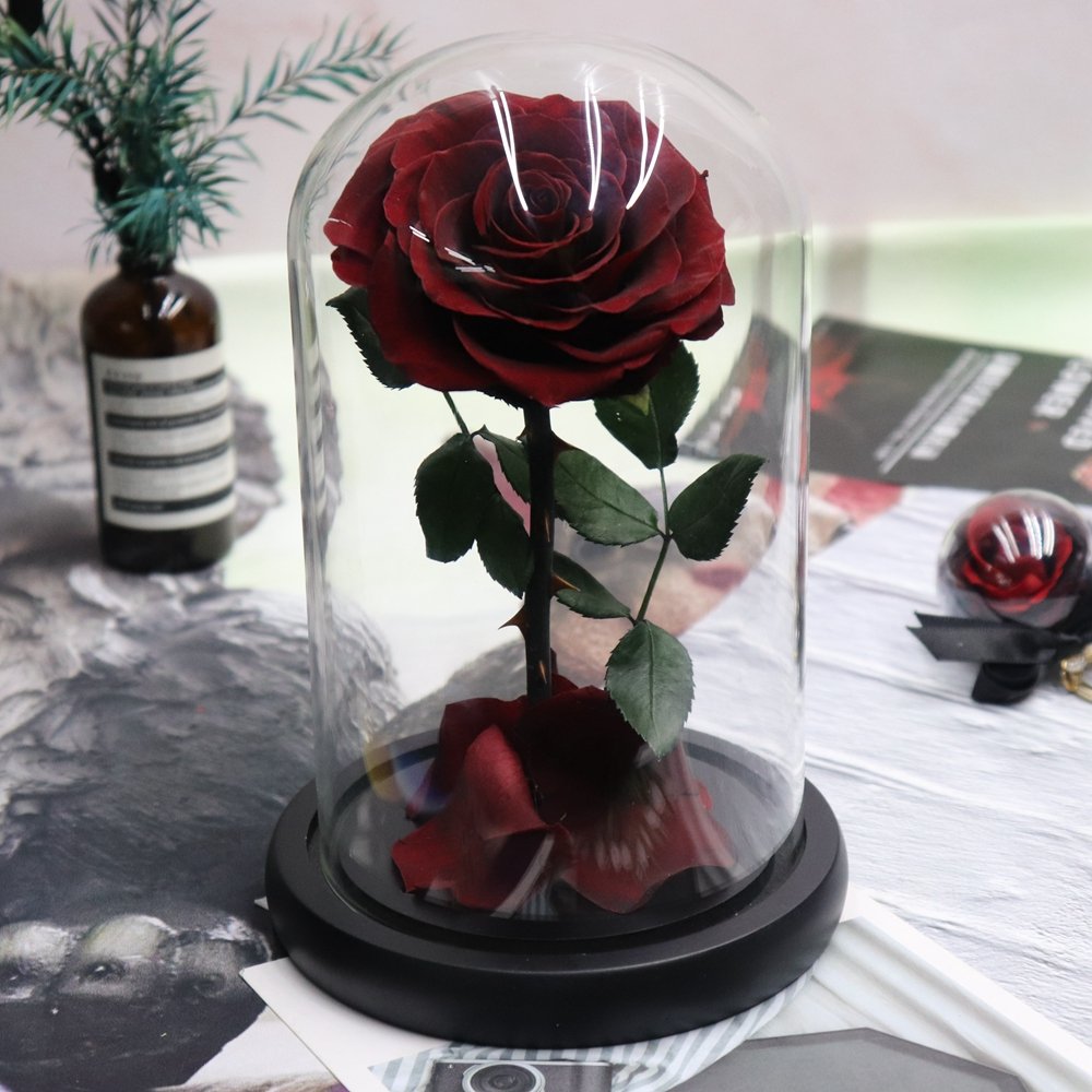 Enhance Your Space with Timeless Floral Beauty Luxurious Preserved Flower Glass Dome