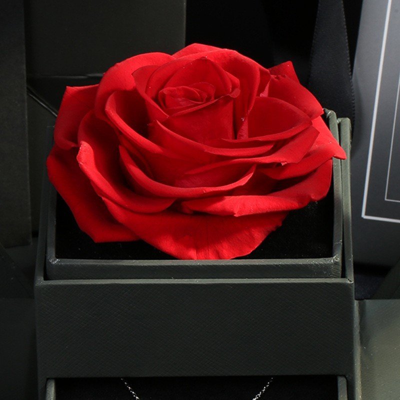 Preserved Flowers Jewelry Box Eternal Rose in Acrylic Box Preserved Forever Roses Gift Box Anniversary Valentine's Day Gifts