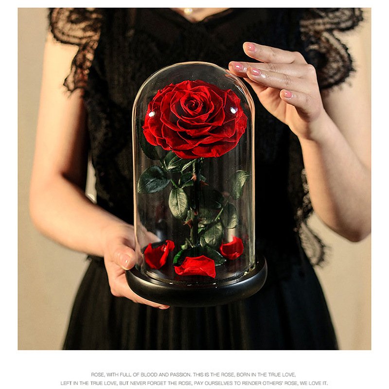 New Long Lasting Fresh Forever Real Touch Preserved Rose Dome Flower Eternal Roses In Glass Dome Valentine&#39;s Day Gif