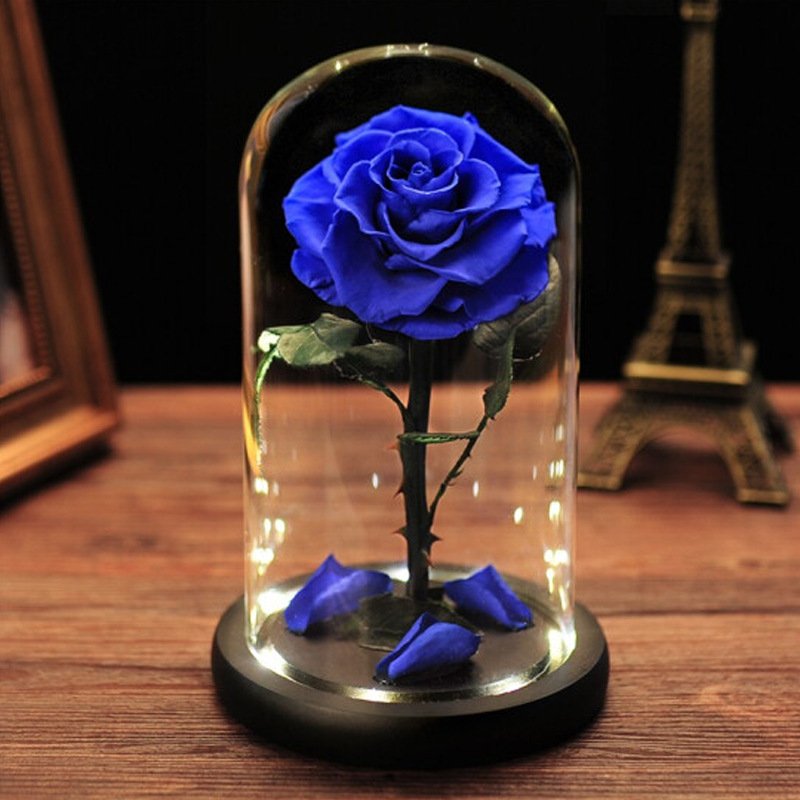 New Long Lasting Fresh Forever Real Touch Preserved Rose Dome Flower Eternal Roses In Glass Dome Valentine's Day Gif