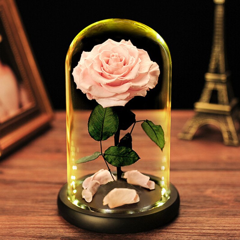 New Long Lasting Fresh Forever Real Touch Preserved Rose Dome Flower Eternal Roses In Glass Dome Valentine's Day Gif