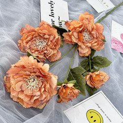 caramel