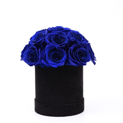 Immortal Infinity Eternal Forever Stabilized Preserved Roses In Round mushroom shape gift box