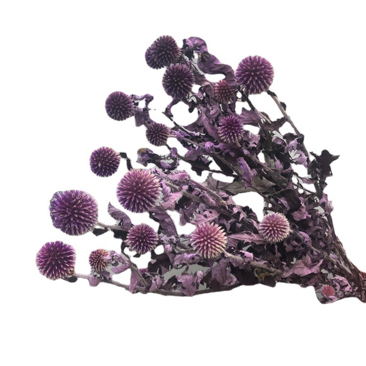 Amazon hot selling decoration boho preserved flower Windmill fruit for wedding/home decoration for flower buoquet