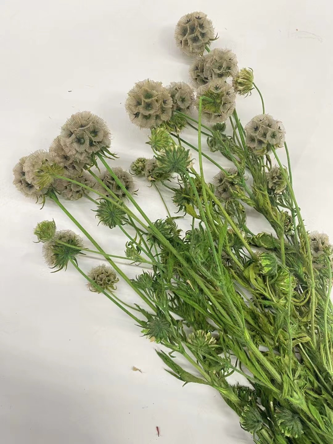 Amazon hot selling decoration boho preserved flower Windmill fruit for wedding/home decoration for flower buoquet