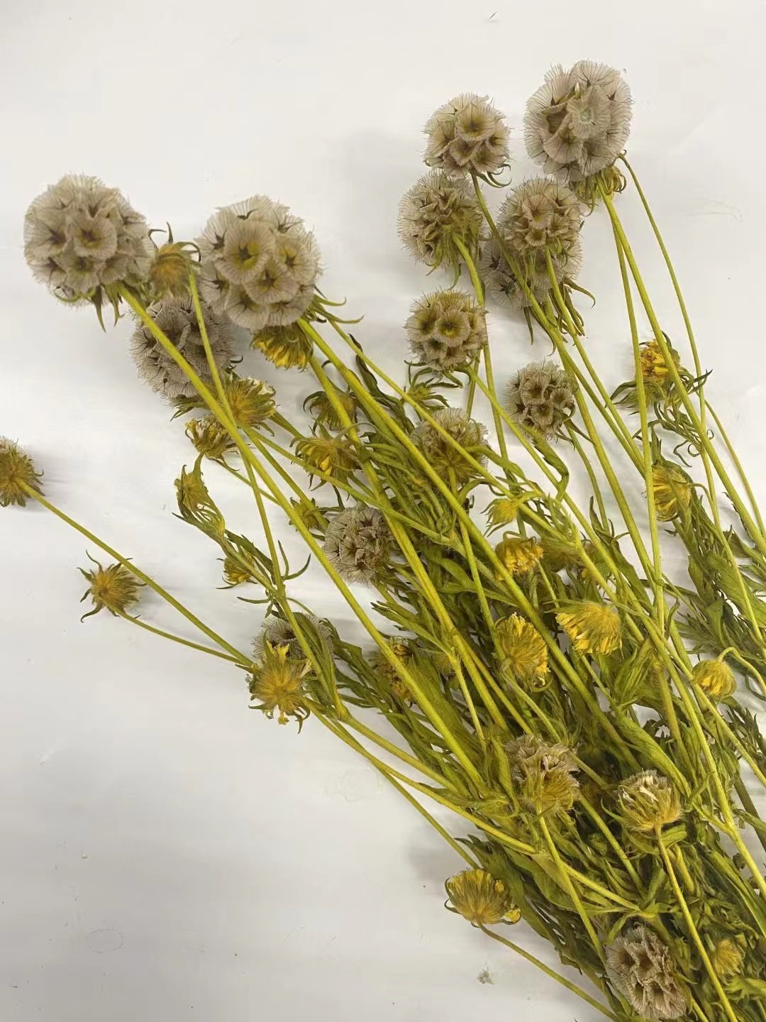 Amazon hot selling decoration boho preserved flower Windmill fruit for wedding/home decoration for flower buoquet