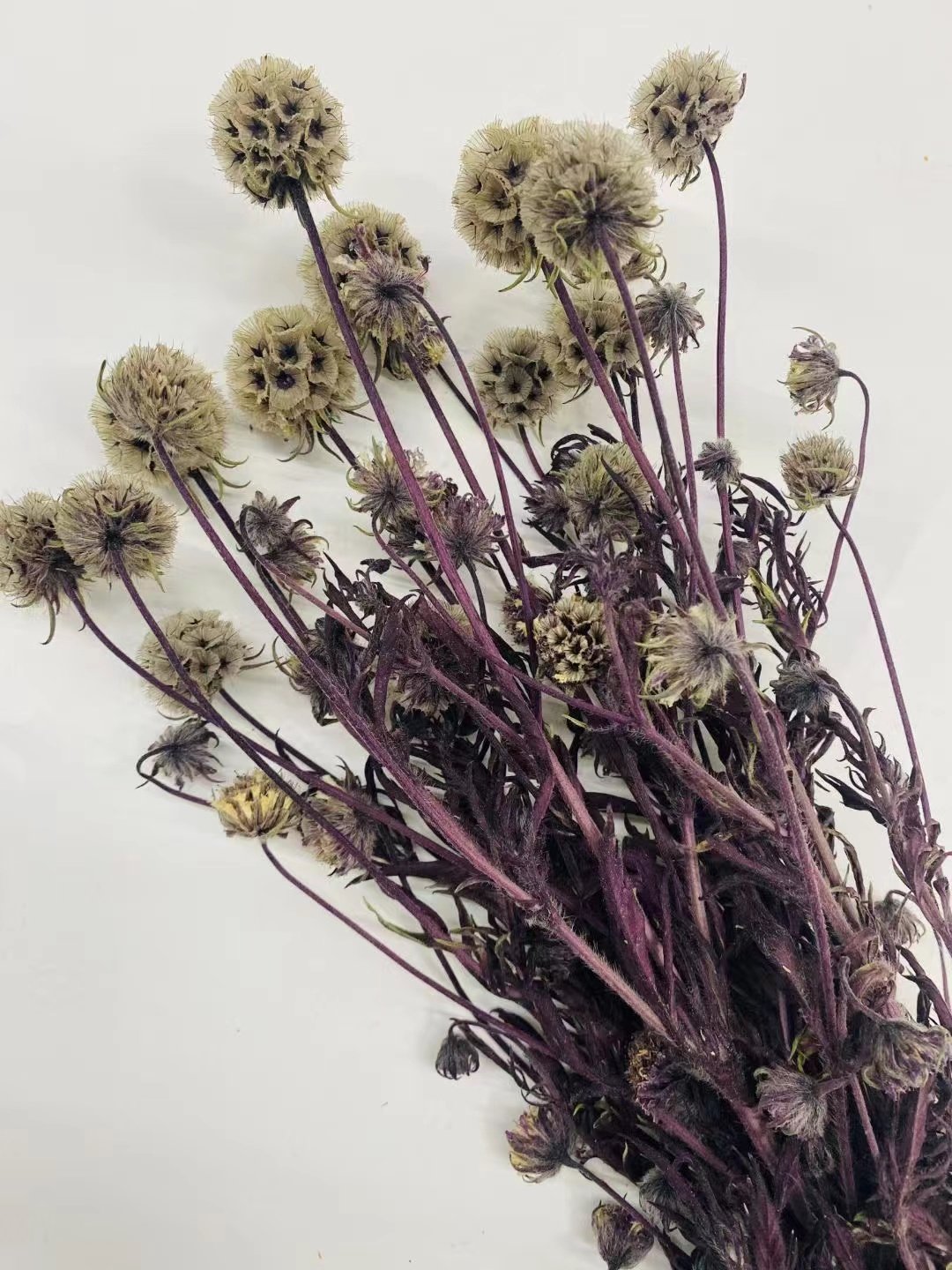 Amazon hot selling decoration boho preserved flower Windmill fruit for wedding/home decoration for flower buoquet