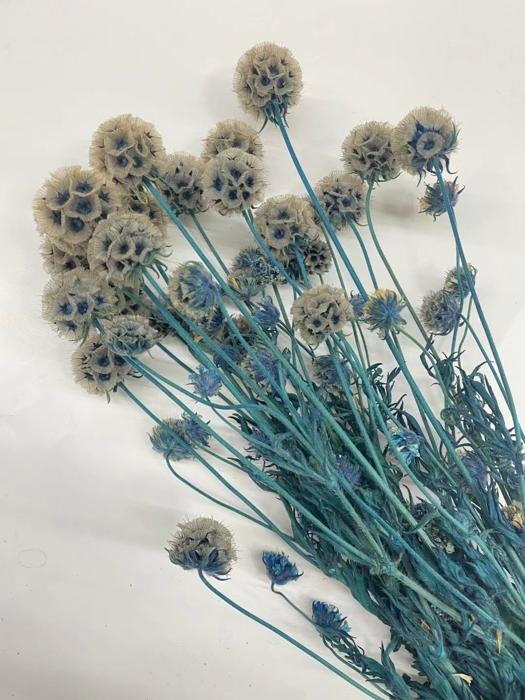 Amazon hot selling decoration boho preserved flower Windmill fruit for wedding/home decoration for flower buoquet