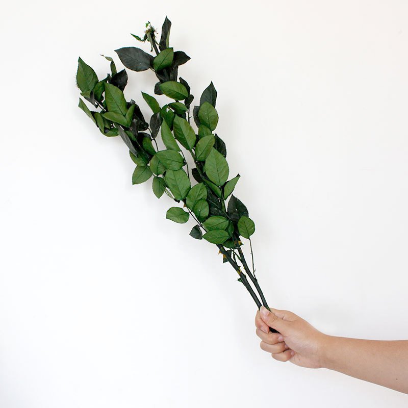 Wholesale grade A best quality natural rose length long stem eternal preserved rose stem for making preserved glass dome rose