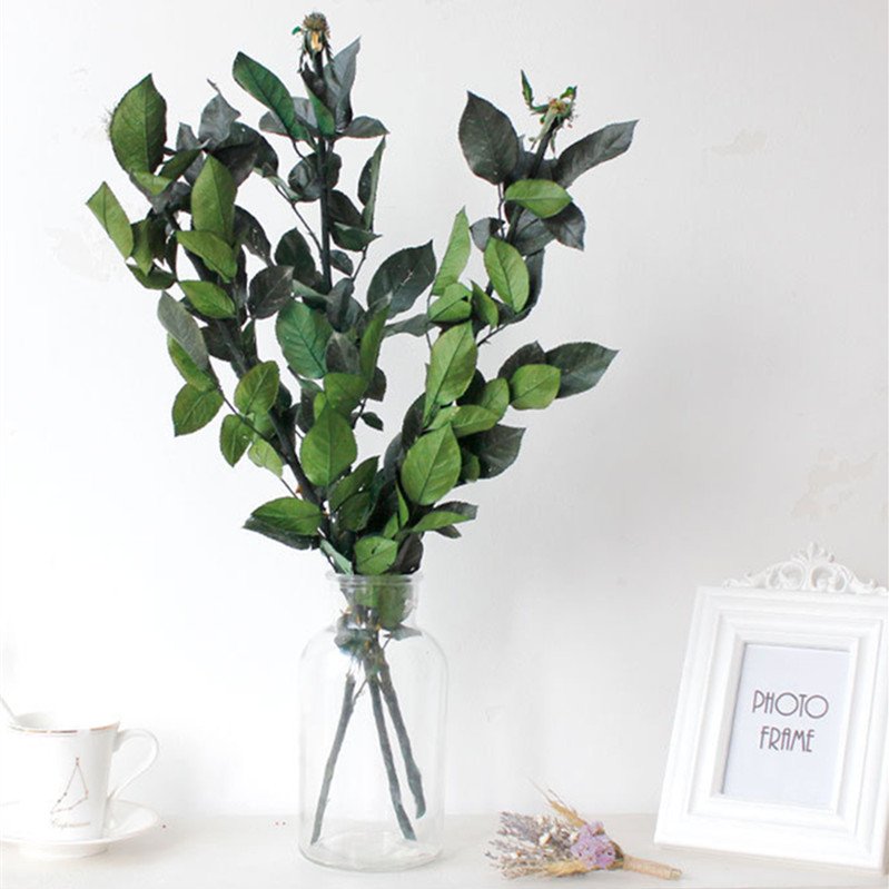 Wholesale grade A best quality natural rose length long stem eternal preserved rose stem for making preserved glass dome rose