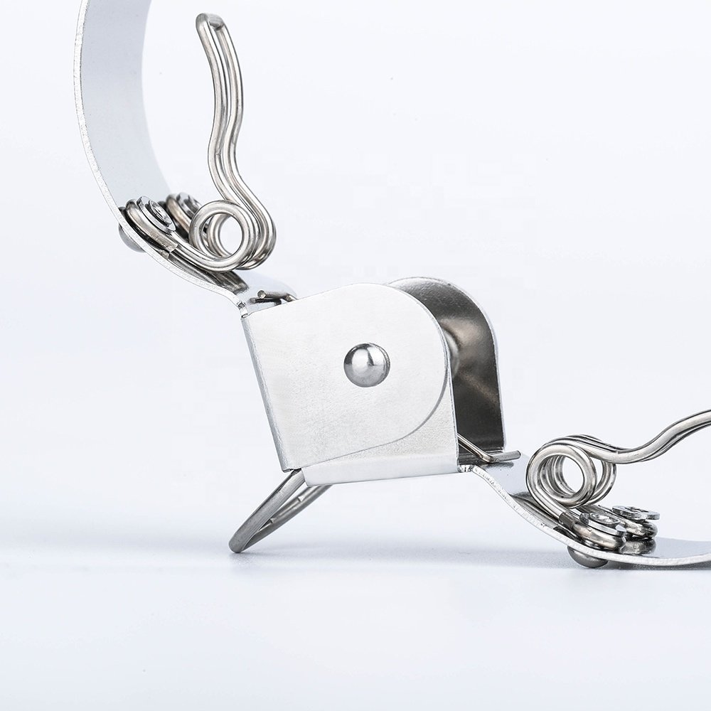 New Classical Outdoor Metal Pegs Set Drying Silver Clothes Clips 304 Stainless Steel Clothing Customized Logo Rattan Round Nylon