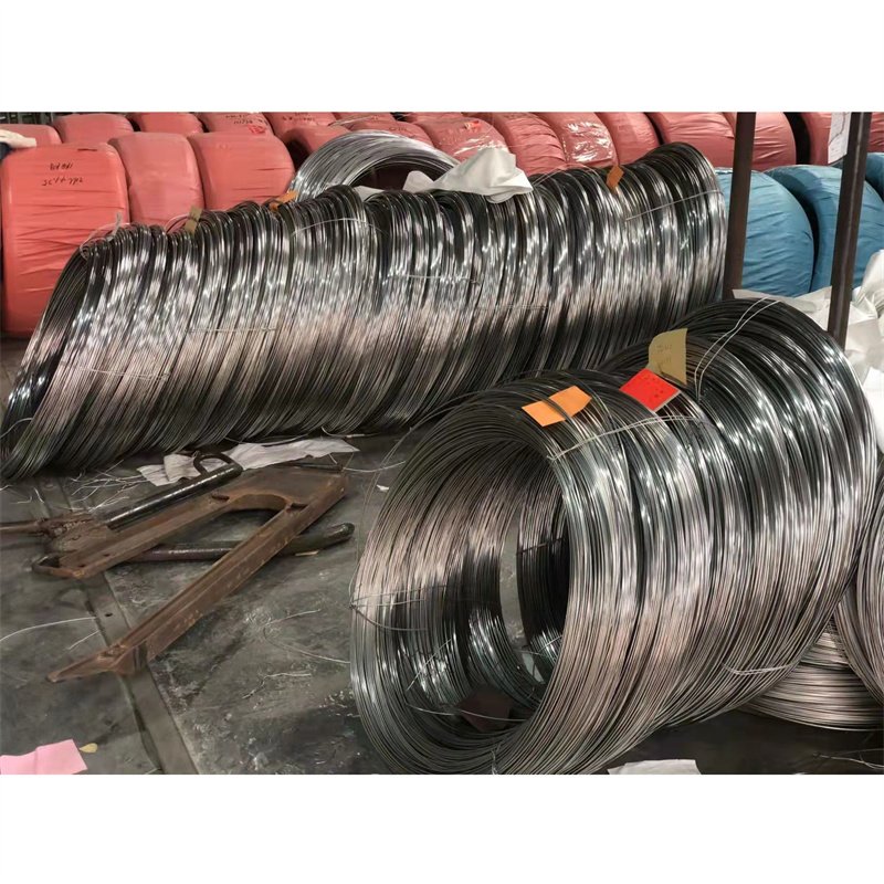 Sus304 Ss316 7x7 /7x19 4mm Nylon Coated Stainless Steel Wire Rope For Clothesline Speed Jump Rope Rainbow Circle