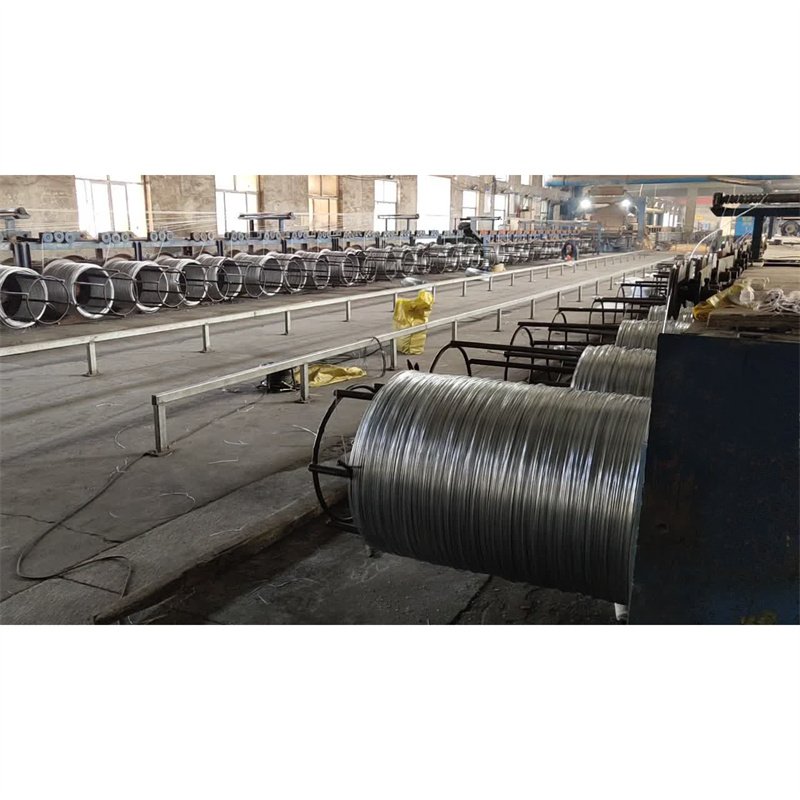 Sus304 Ss316 7x7 /7x19 4mm Nylon Coated Stainless Steel Wire Rope For Clothesline Speed Jump Rope Rainbow Circle