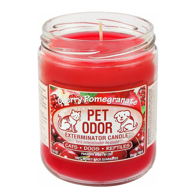 Multi-Colored 13oz Anti-Pet Odour Scented Candles