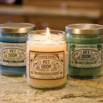 13oz Pet Odor Exterminator Lavender Chamomile Deodorizing Candles