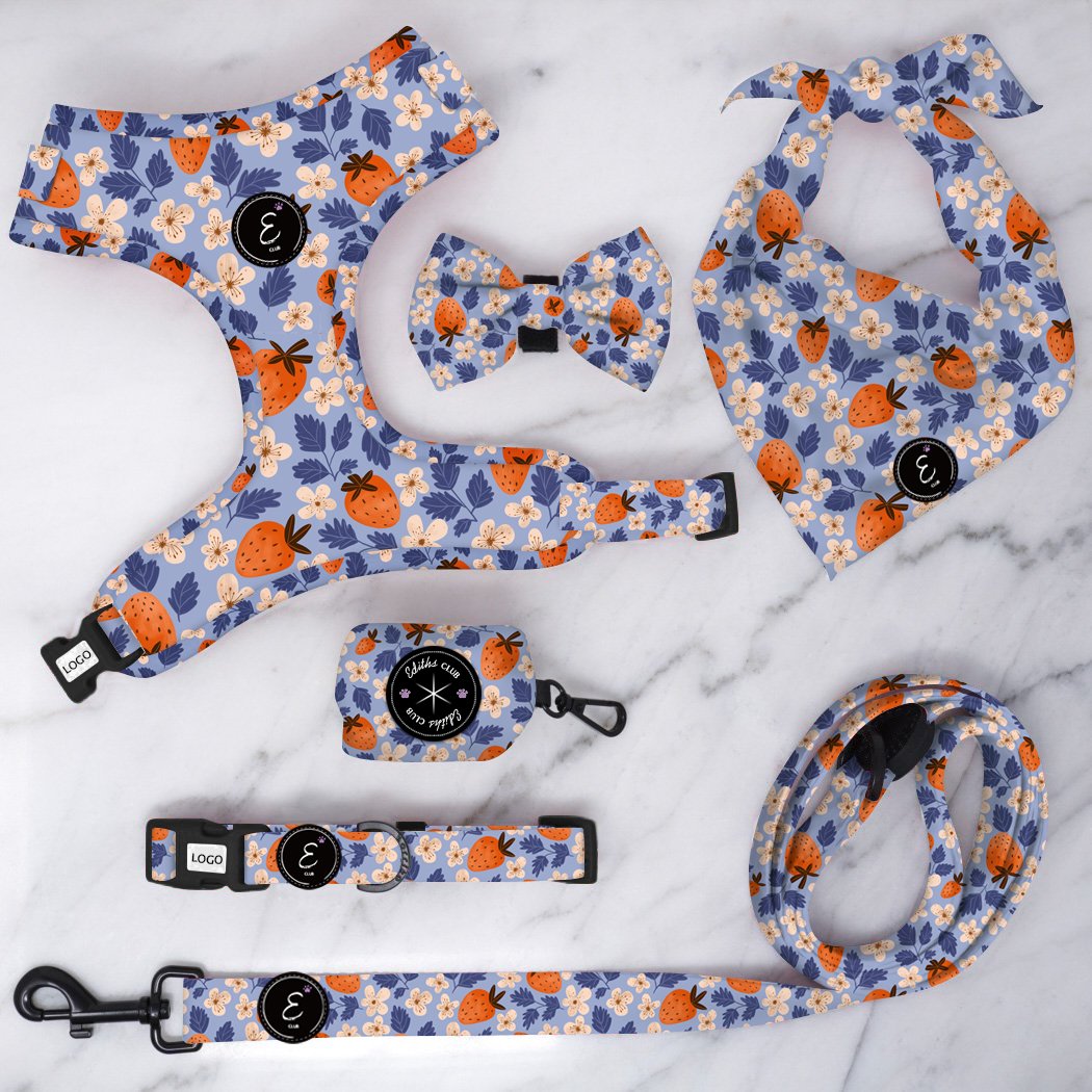 New Lightweight Pet Dog Safety Harness Adjustable Soft Mesh Layer Dog Harness Matching Dog Collar And Leash