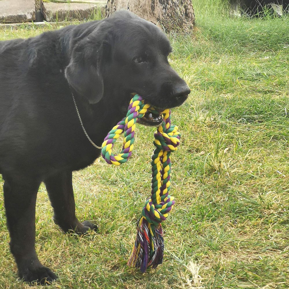 Professional Pet Training Toys Durable Dog Tug-of-war Toys Eco-friendly Cotton Rope Knot Dog Teething Chew Toy