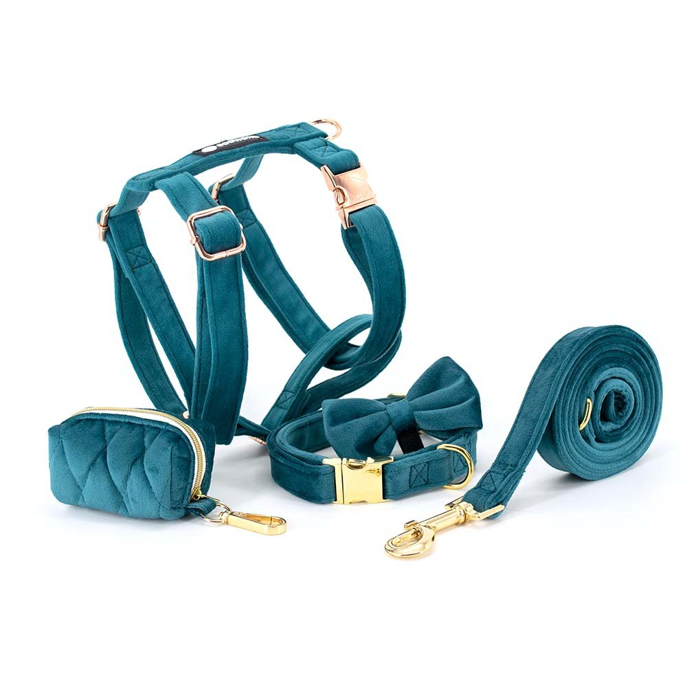 Personalized Design Dog Harness Set Pet Training Collar Match Leashes Private Label Wedding Dog Harness Dog Collar Leash