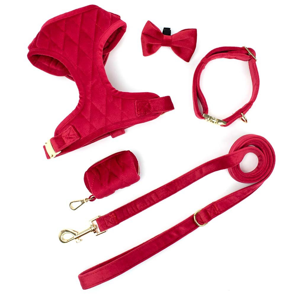 Personalized Design Dog Harness Set Pet Training Collar Match Leashes Private Label Wedding Dog Harness Dog Collar Leash