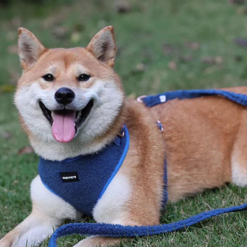 2023 New Pet Industry Supply Luxury Lovely Sherpa Fleece Dog Harness Set Custom Adjustable Dog Vest Matching Dog Collar Leash